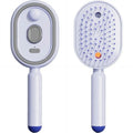 Electric Spray Air Cushions Massage Comb 3 in 1 Self Cleaning Steam Essential Oil Brush Rechargeable Spray Scalp Massager Combs